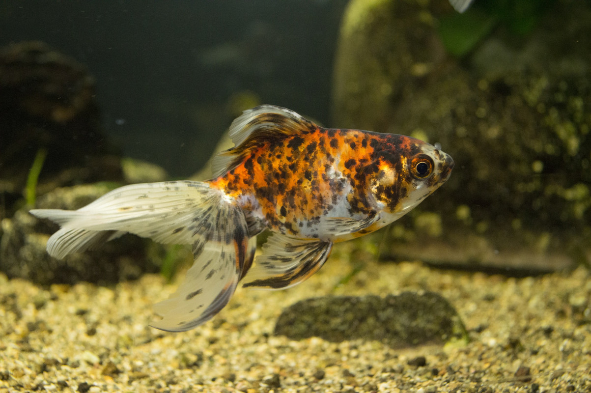 01F8AF44-3EC8-4549-B419-BFAB27F66B62