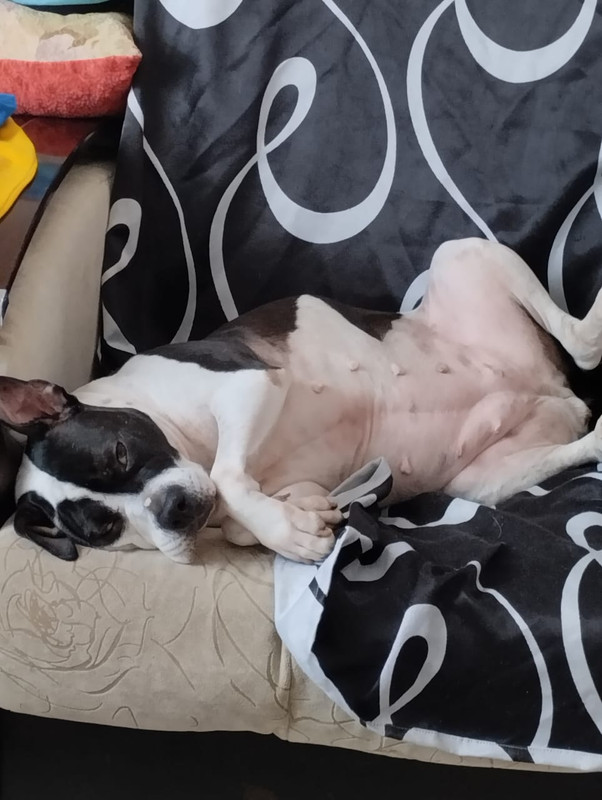 689B431F-2A2B-4F0B-81AA-7B3C4E566674