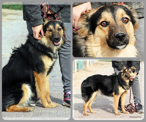 BeFunky-collage (22)