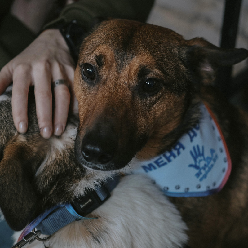 9E9E591D-8BE4-4889-B66C-10DF7FEE9E00