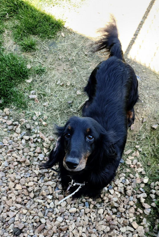 [Image: 20230420-203953.jpg]