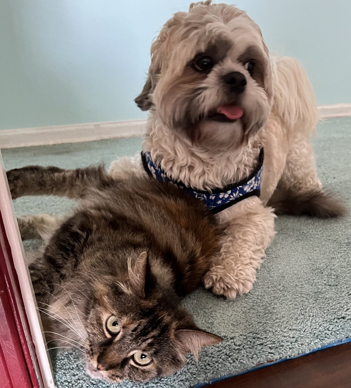 9BB97701-C378-4280-8739-71A7C66735DF_1_201_a