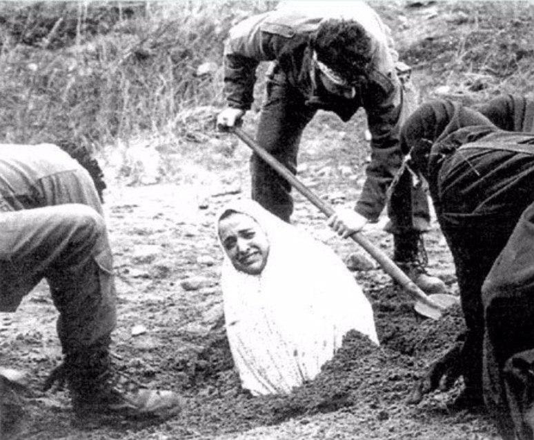 [Изображение: photo-2026-04-02-05-20-49.jpg]