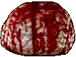 surgicalbrain