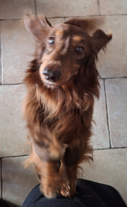 [Image: 20240314-094652.jpg]