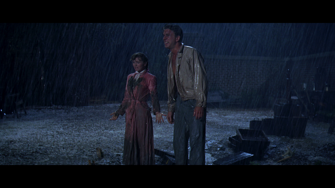 Snapshot-2019-05-28 at 12_24_55 PM-12066