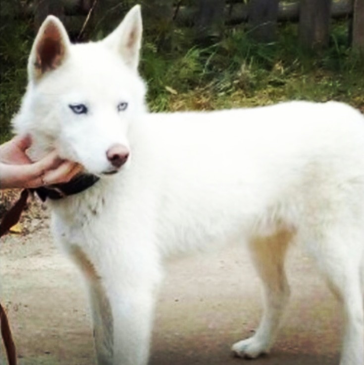 BDA0CD4A-51D6-4D2F-9C3B-511AE08E7DCE