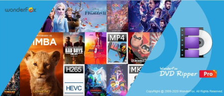 WonderFox DVD Ripper Pro 19.2 Portable