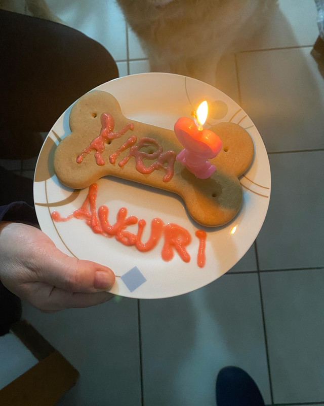 A6163A37-AD29-4859-B80D-80D29867D724