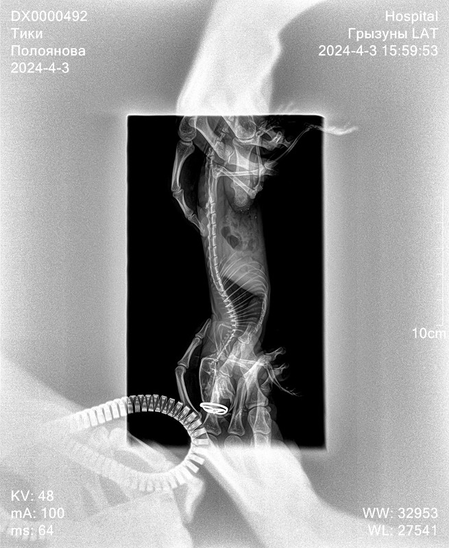 3B2231CA-C52A-4AF0-8002-AC3526CE19E3