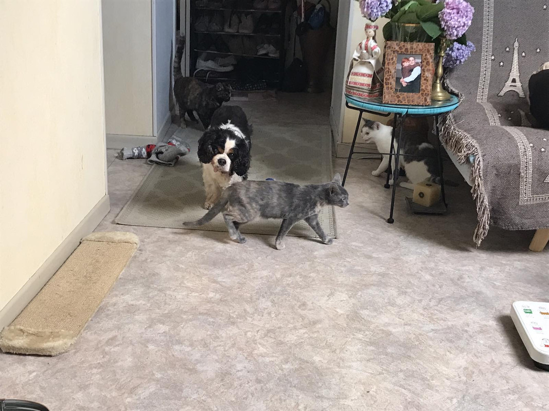 99C8D41D-B993-4A98-B1B8-327C795756D8