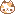 kitten