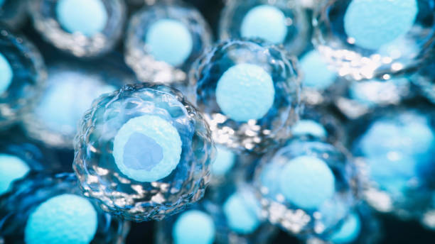arthritis stem cell treatment Mexico