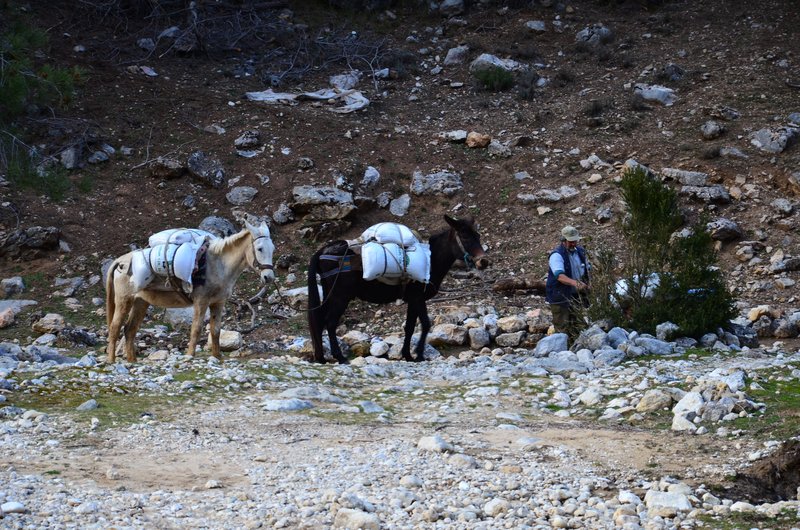 RUTA RIO BOROSA-12-3-2016-JAEN - Paseando por España-1991/2016 (207)