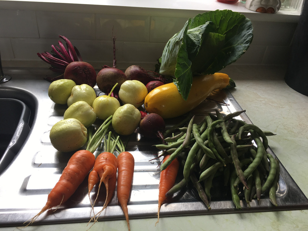 04726323-113A-45CB-BE46-61B3617019A7