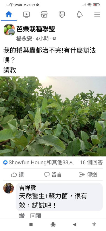 見證6