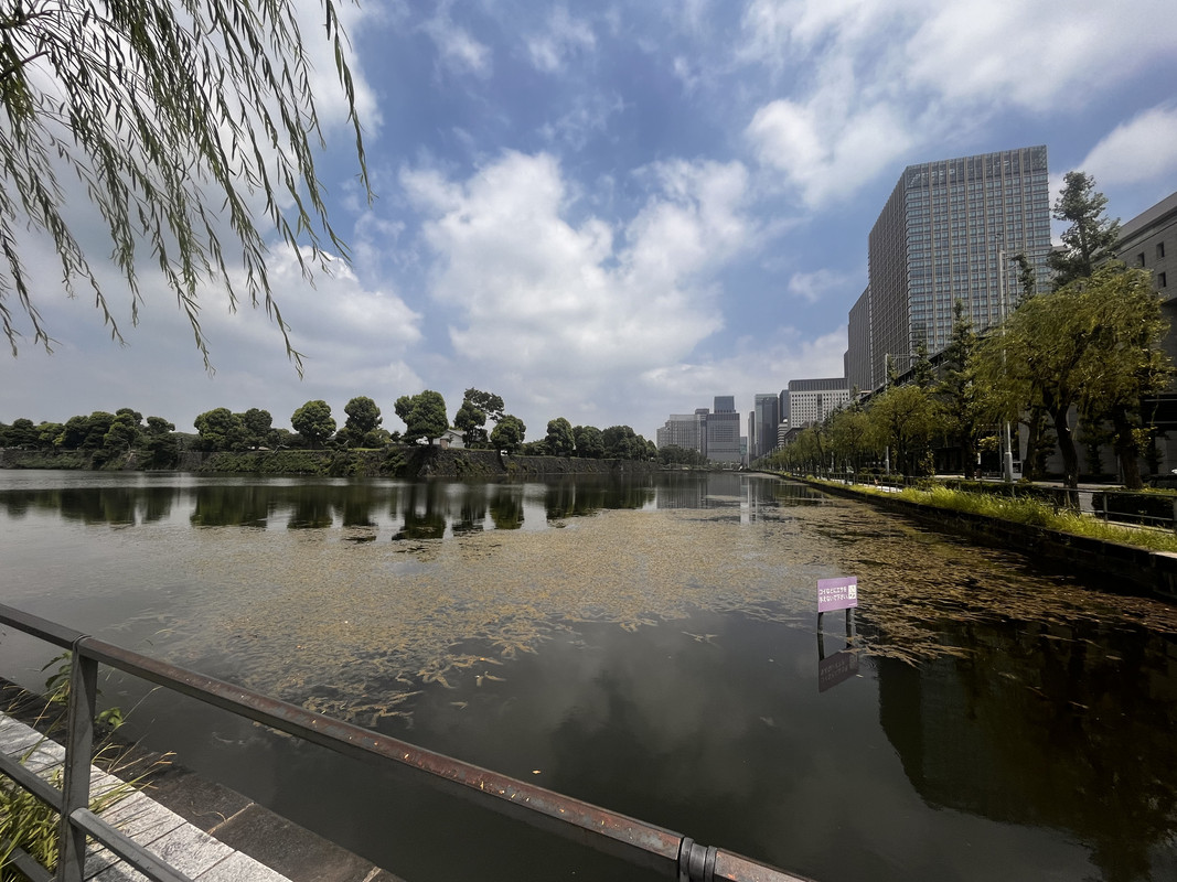 19F5418A-069E-40BD-86DA-4187B3C665F2