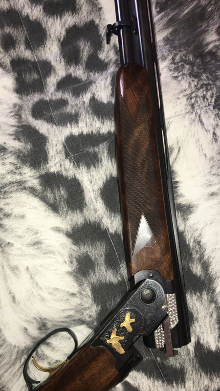 8672E14B-886B-4DE7-9A4C-01315F512DC8