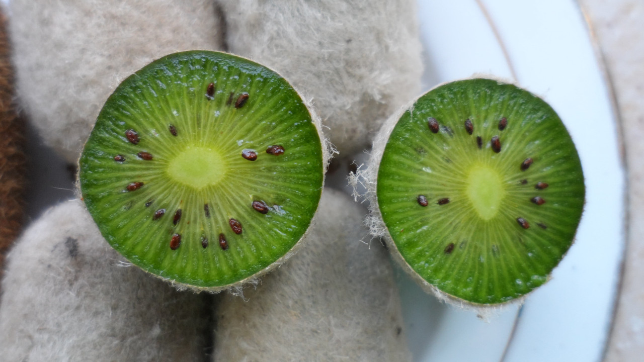 Wild Gooseberry internal