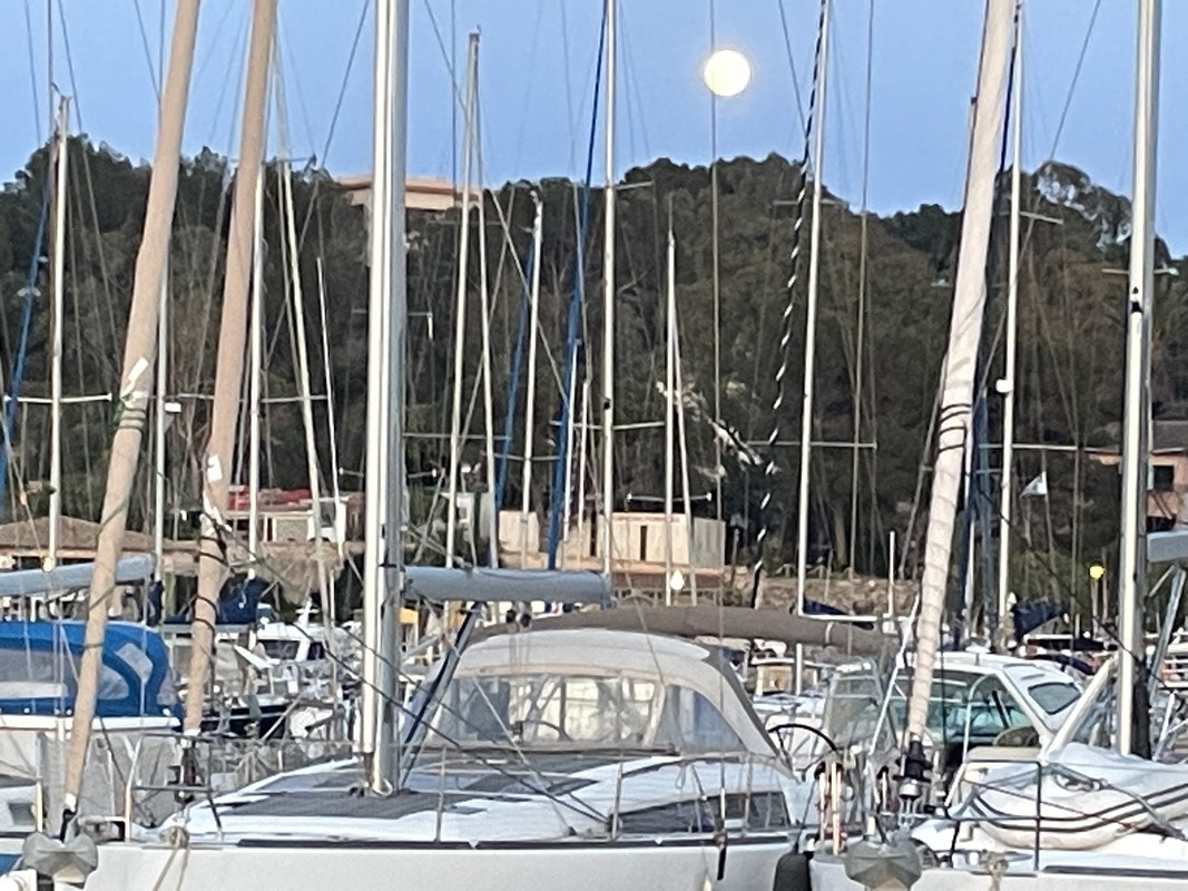 A55E658B-F0F7-4E0B-B1AE-82B91C9848DC