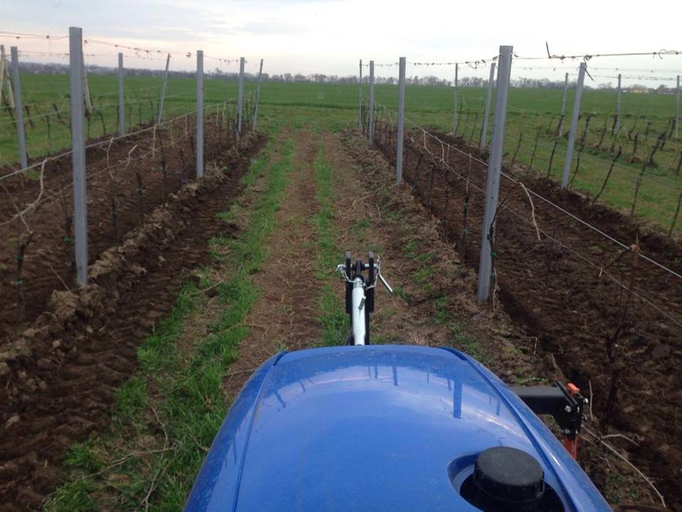 12899793_10204458674425148_1321861138_n