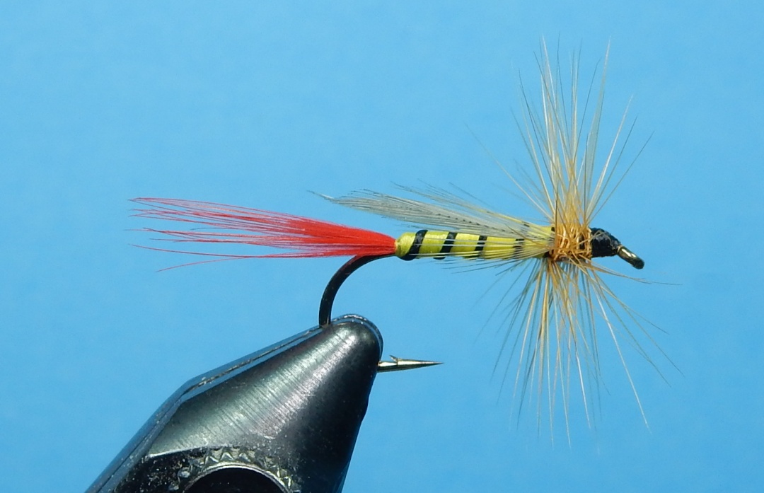 Idanha-1080.jpg
