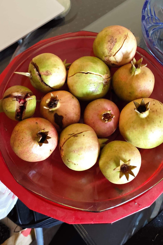 received_624536895825771