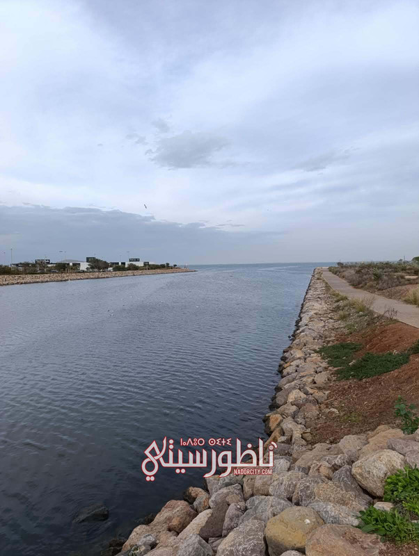 612232846-1596233071629809-8327092368545090798-n