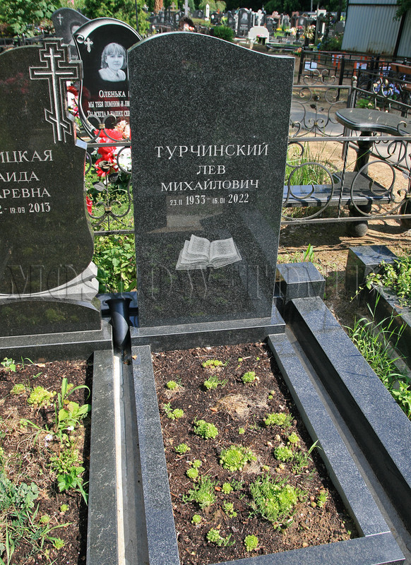 turchinsky-lm-new