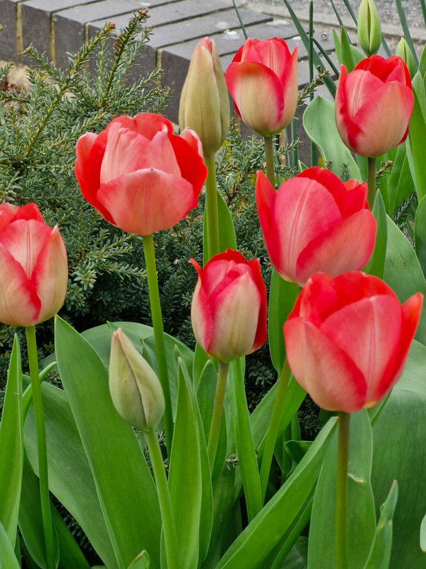 674877901-26415065468174260-1361216778615531514-n