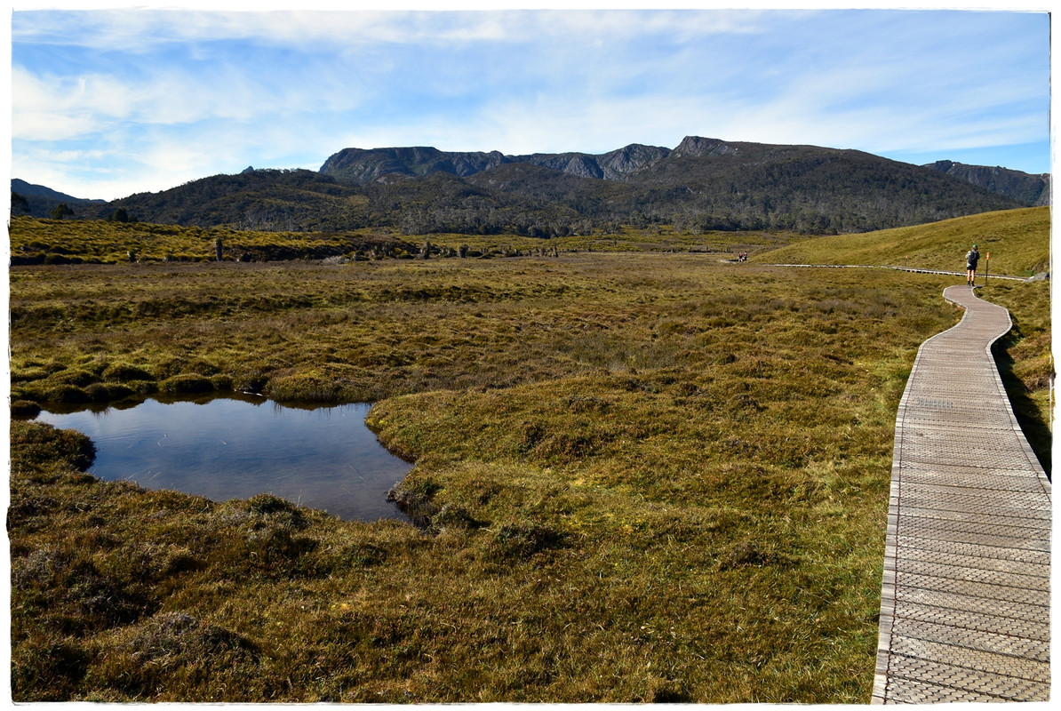 Cradle Mountain National Park - Australia (II): Recorriendo Tasmania (7)