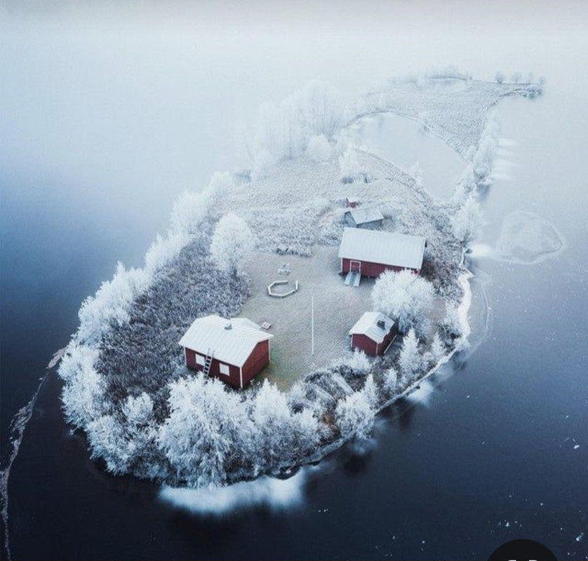 Screenshot_20231213_224105_Pinterest