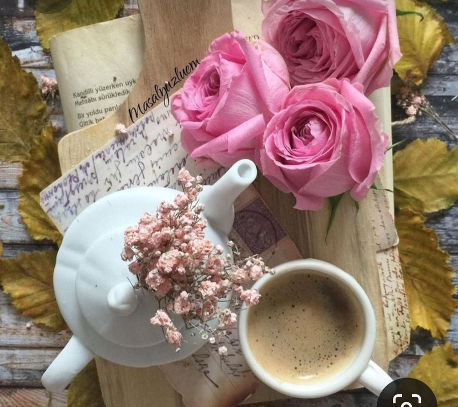 Screenshot_20230722_005721_Pinterest