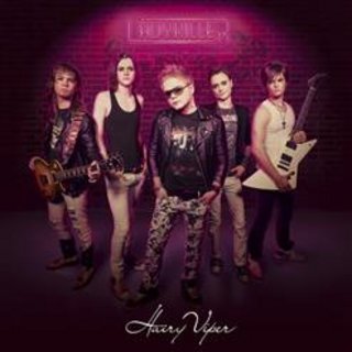 Hairy Viper - Lady Killer (2012).mp3 - 320 Kbps