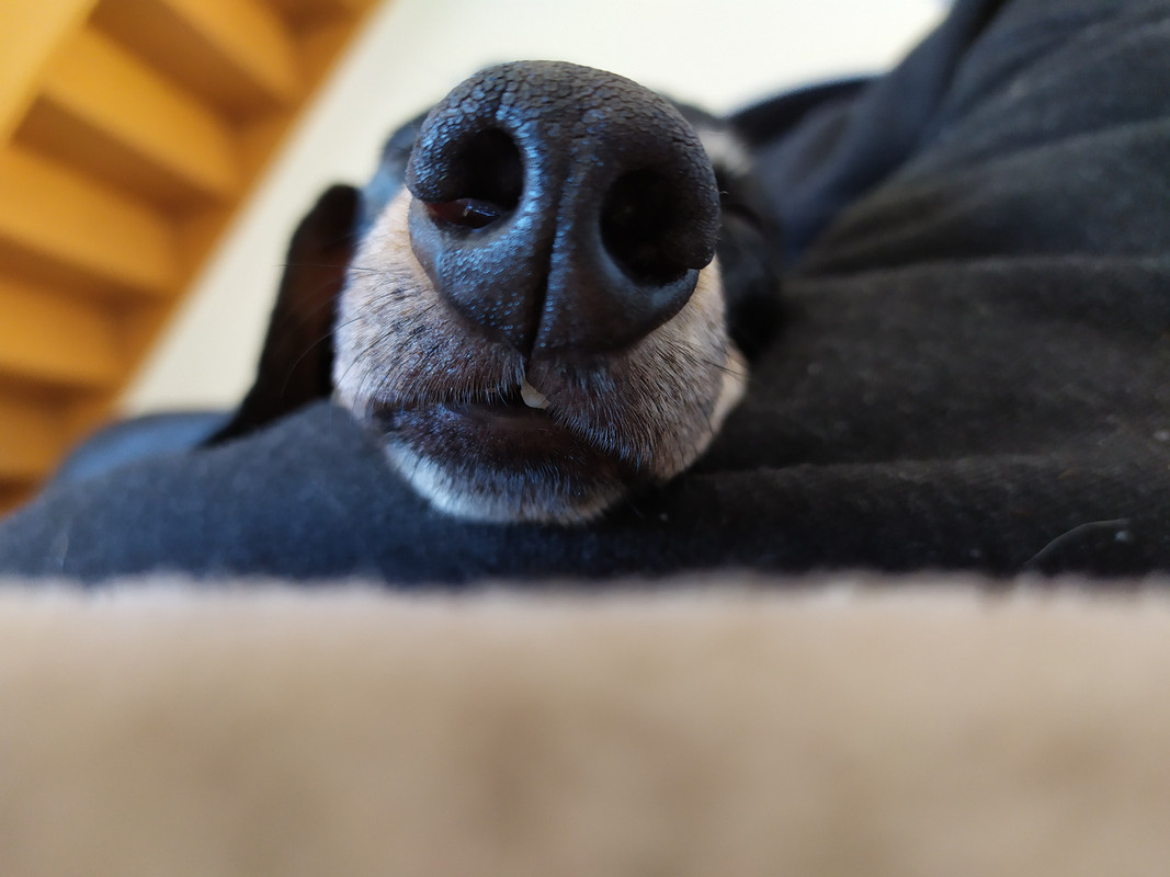 [Image: IMG-20210213-142205.jpg]