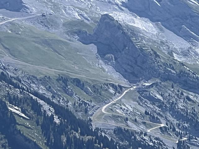 IMG 4544