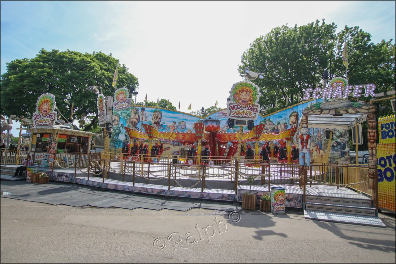 IMG 0008