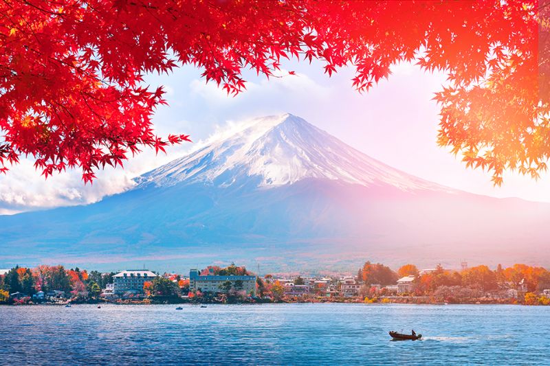 CẨM NANG DU LỊCH MÙA THU NHẬT BẢN 2026 🍁