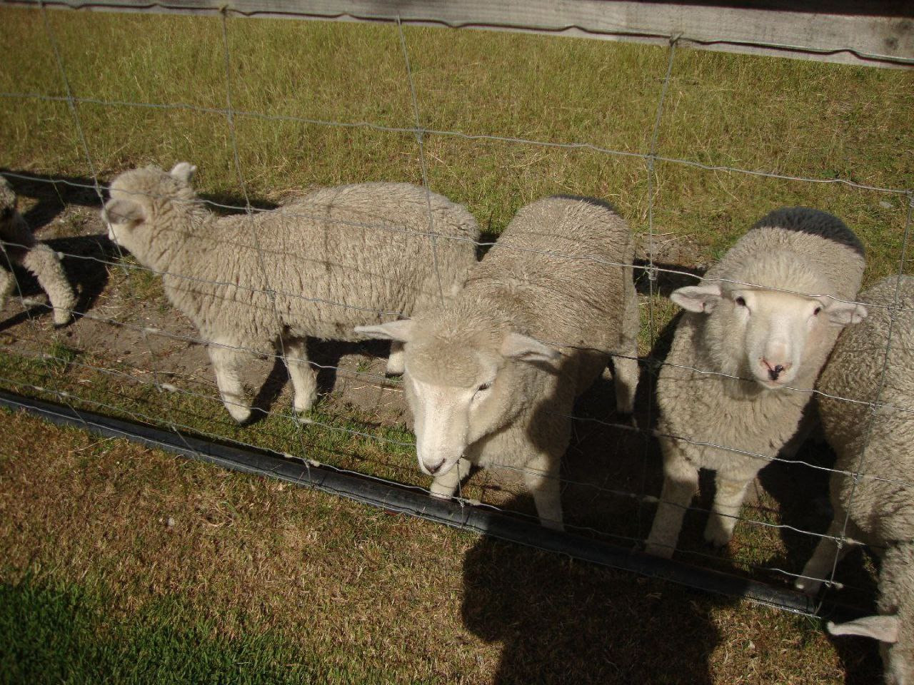 photo 25 2025 12 27 21 26 39