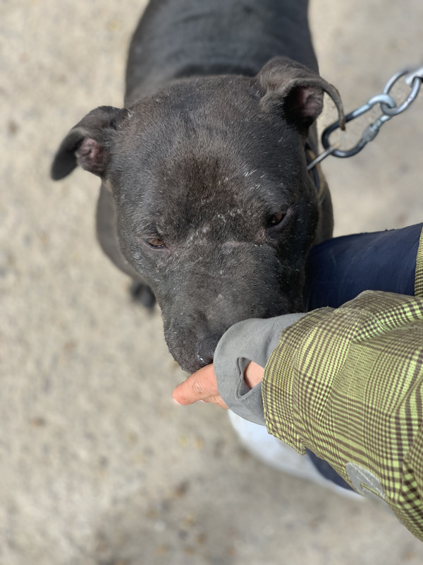 4D5EB0E4-D604-4EB1-B71C-CD54E7C5ECB6