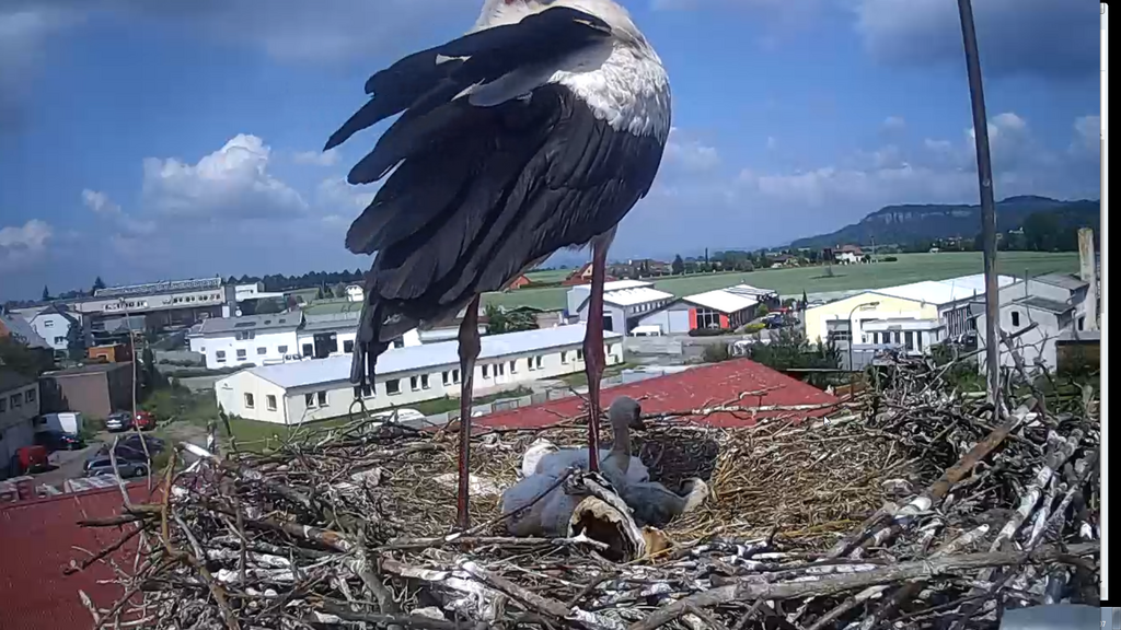 2019-06-07 15_38_20-Greenshot