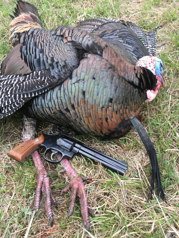 11350987-FF8F-4035-89D1-9DF734E11187