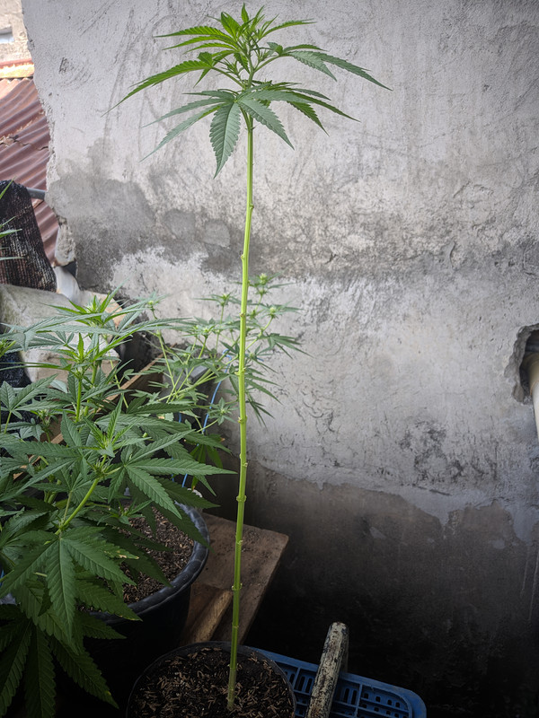 HC_20221012_093409_null