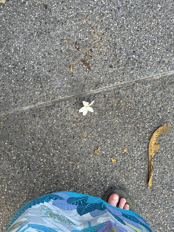 Блестяшки и вкусняшки: Новый Год в Чиангмае, Хуахин, Бангкок