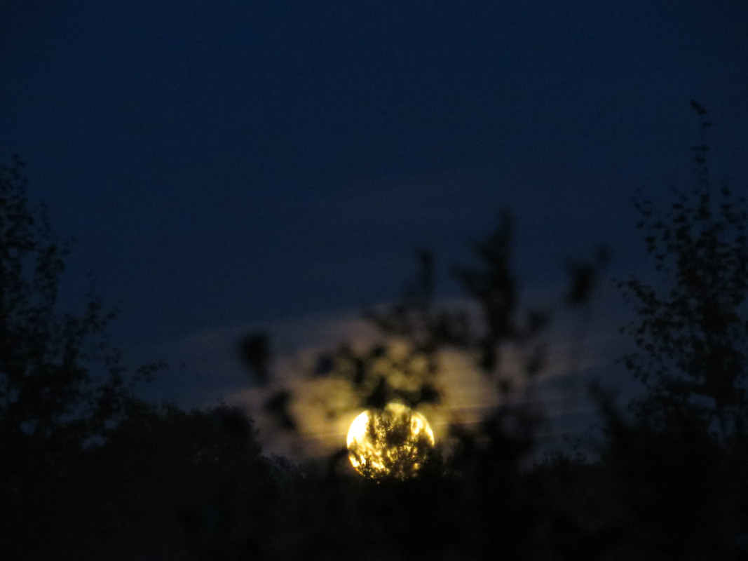 IMG 0852 — Postimages