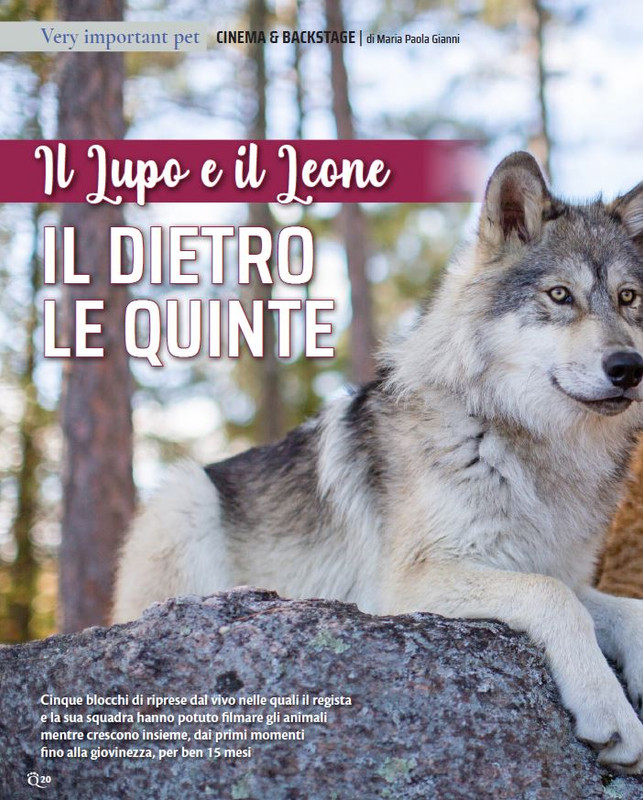 QuattroZampe Feb 2022 (1)