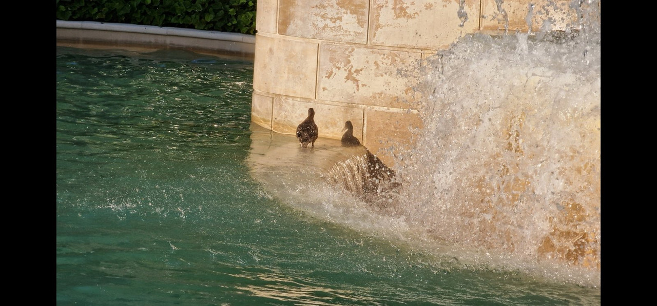 Screenshot_20220715-235433_Gallery