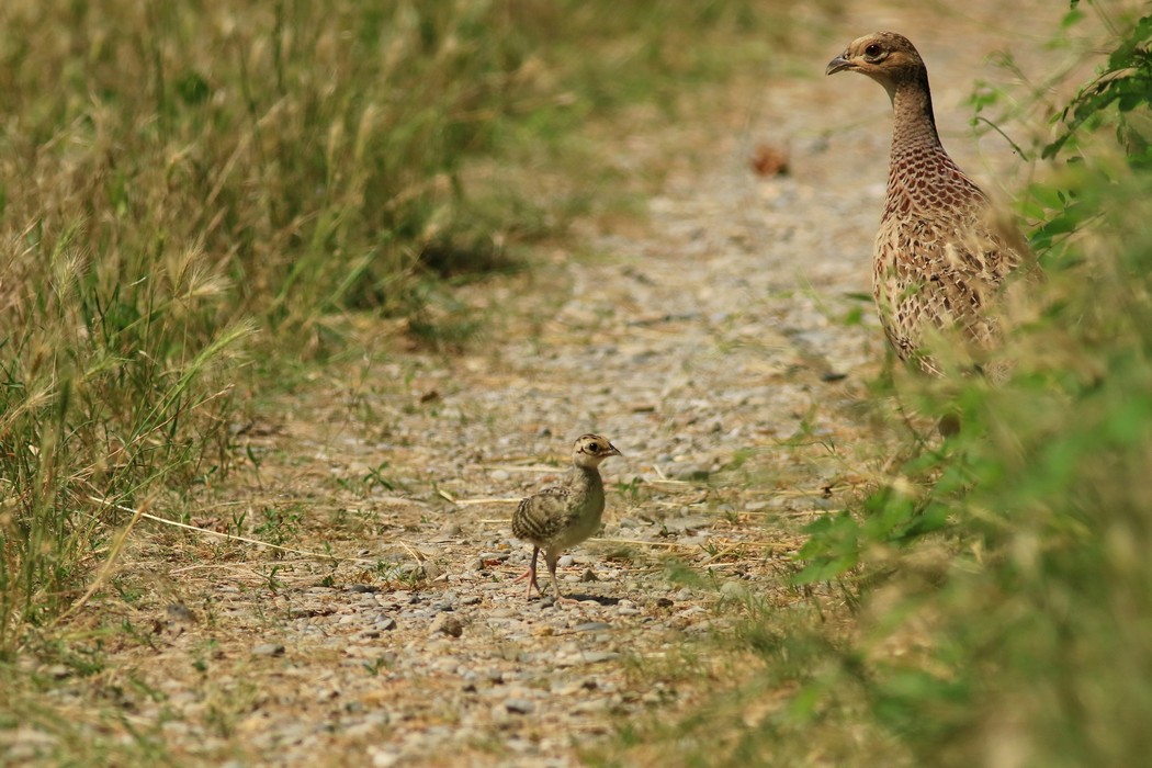 3AB6156D-3407-4857-A23A-7C31F41E7D0F