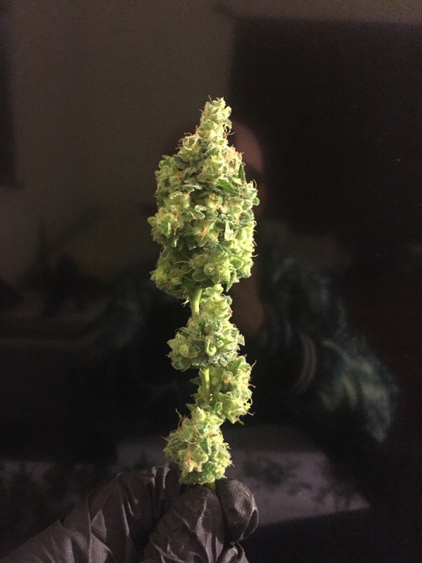 94F542D4-2FA1-4AA9-A4C2-4748B683AB6D