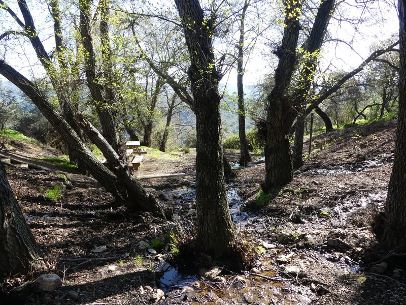 PARQUE NACIONAL DE MONFRAGÜE-2020/2023 - EXTREMADURA Y SUS PUEBLOS -2010-2023 (117)